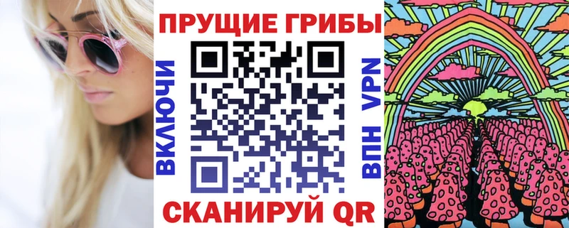Галлюциногенные грибы прущие грибы  Купить где  Венёв 